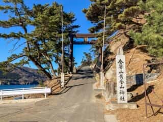 金華山周遊道倒木整備