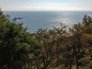鬼ケ城からの景色