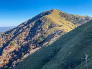 剣山・次郎笈 登山道の景色