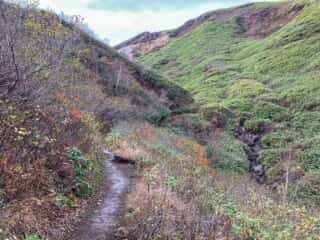 秋田駒ヶ岳登山道
