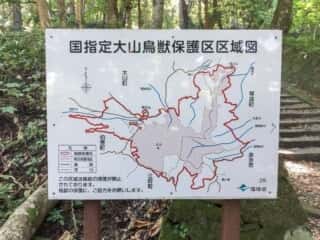 大山登山道