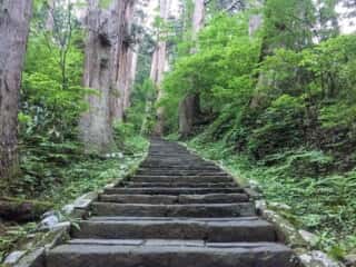 出羽三山神社 一の坂参道