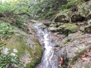 船通山登山道を流れる斐伊川