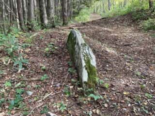 姫神山 登山道