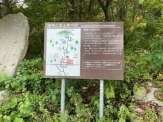 姫神山 登山道