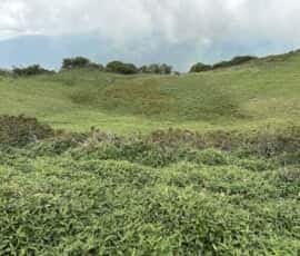 三嶺