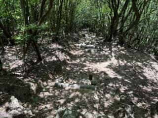 四国八十八ヶ所霊場 第87番札所 長尾寺〜第88番札所 大窪寺