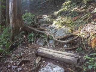山上ヶ岳（大峯山）登山道