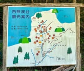 綱附森