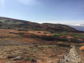 旭岳登山道からの展望