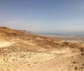 masada