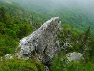 剣山の鶴石