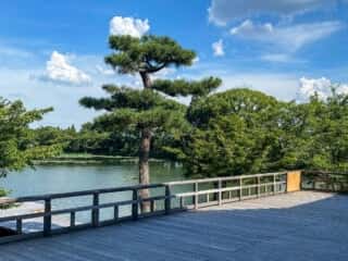 大覚寺　大沢池