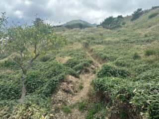 矢筈山・石堂山