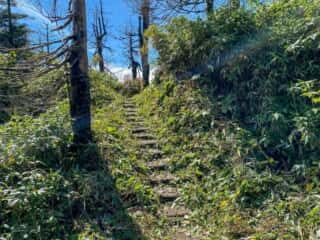 屏風岳・刈田岳 登山道