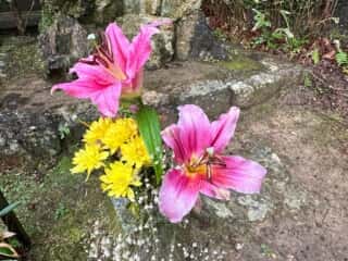 四国八十八ヶ所霊場 第31番札所 竹林寺