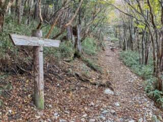 剣山登山道