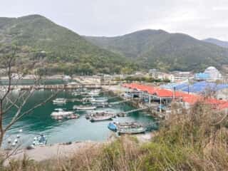 四国八十八ヶ所霊場 第40番札所 観自在寺〜宇和島駅