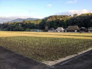 神宮新田 (家田田上宮比定地)