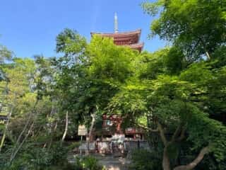 四国八十八ヶ所霊場 第86番札所 志度寺
