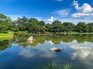 大覚寺　大沢池