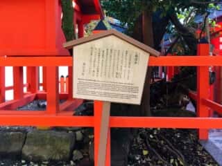 春日大社境内にある七種寄木