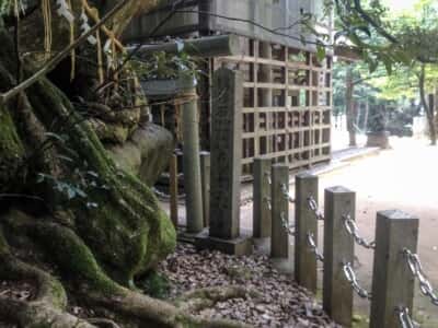 真名井神社