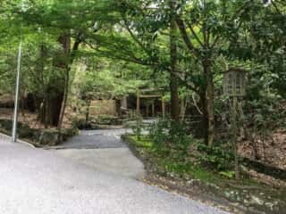 伊勢神宮内宮　大山祇神社・子安神社への参道