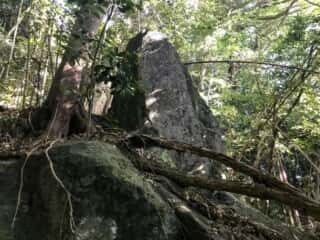 岩立神社の巨石