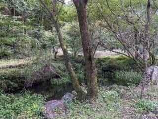 御嶽山 蓮池