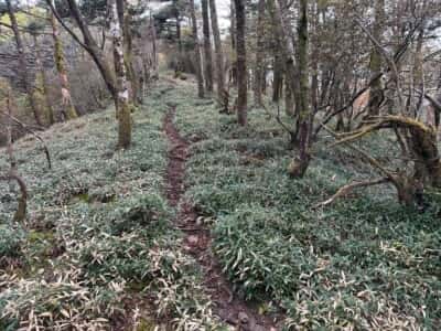 土佐矢筈山・小桧曽山