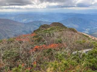 中岳登山道からの景色