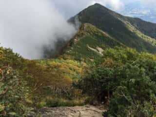 権現岳