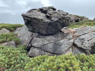 早池峰山 登山道