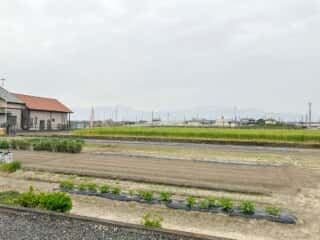四国八十八ヶ所霊場 第59番札所 国分寺〜伊予三芳