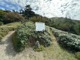 剣山登山2025年9月