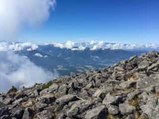 権現岳登山道