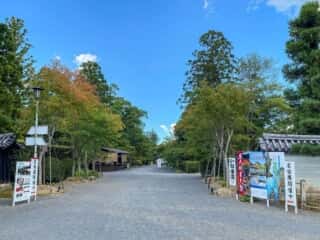 仁和寺　霊宝館への参道