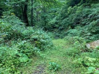 石の塔へ向かう山道