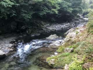 もみじ川