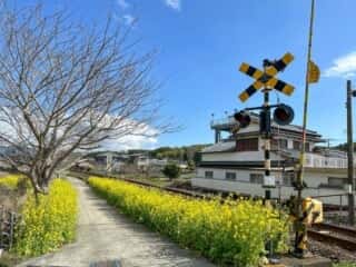 四国八十八ヶ所霊場 第37番札所 岩本寺～第38番札所 金剛福寺