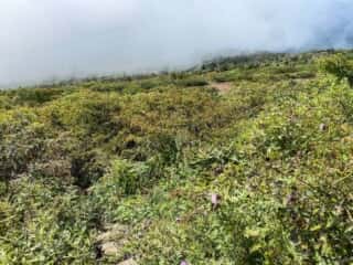 屏風岳・刈田岳 登山道