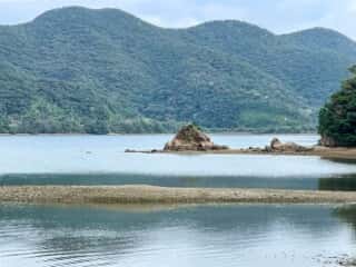 奄美大島 久場立神 千年松跡地