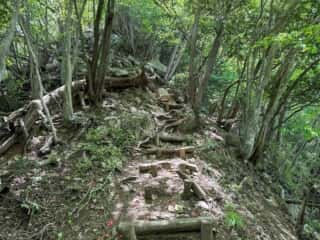 四国八十八ヶ所霊場 第87番札所 長尾寺〜第88番札所 大窪寺