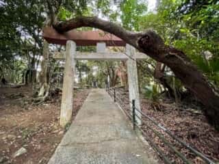 徳之島 ナゴリ山神社