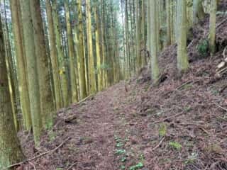 いやしの宿八丁坂〜四国八十八ヶ所霊場 第46番札所 浄瑠璃寺