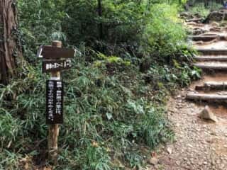 筑波山登山道