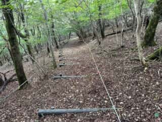 旭ヶ丸・大川原高原