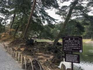 毛越寺　築山