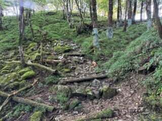丸笹山